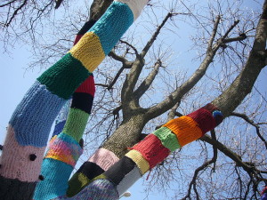 Yarn-bombed tree in  in Yellow Springs, Ohio